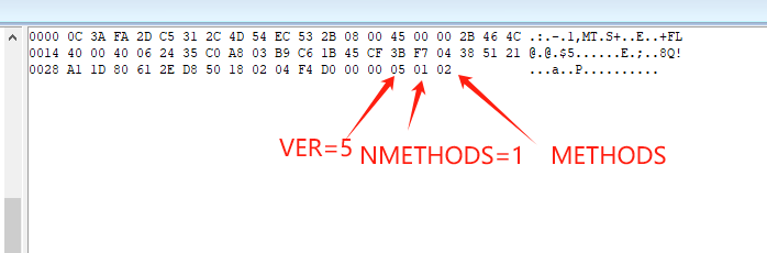 Analyze Socks5 Protocol