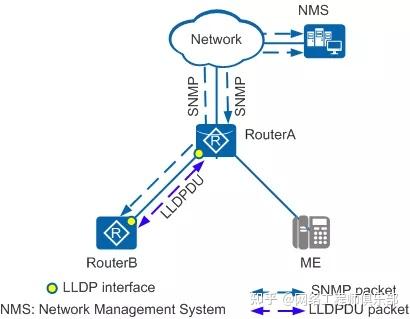 LLDP Network Management