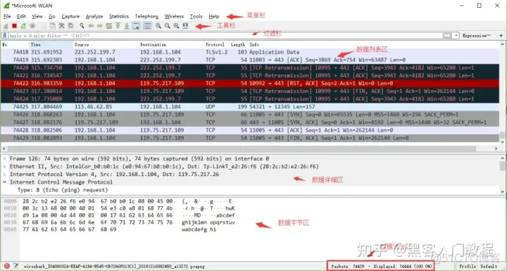 Wireshark packet capture