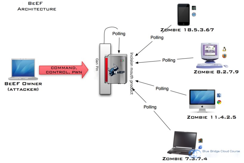  Kali penetration testing